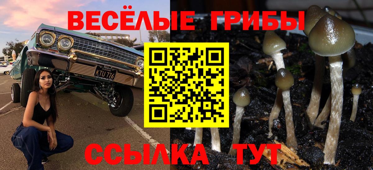 Галлюциногенные грибы мухоморы  Вход с VPN  Крымск 